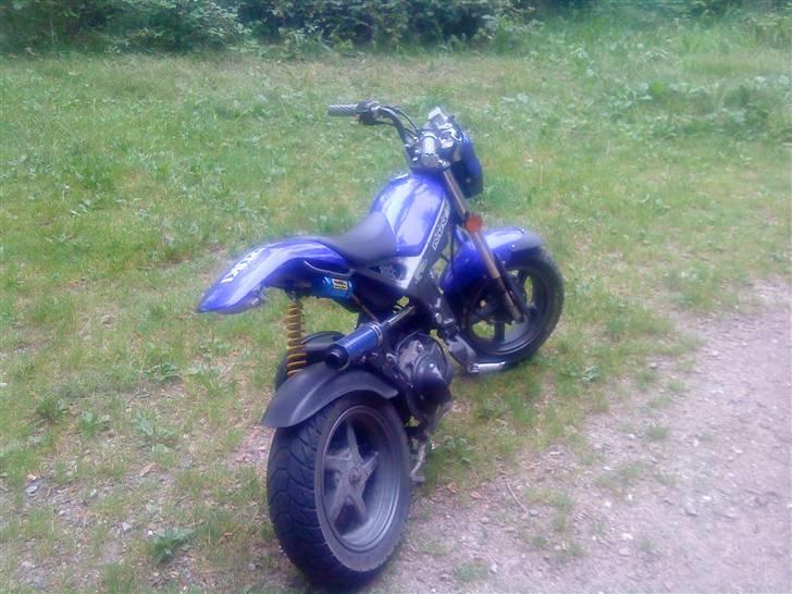 Suzuki Street Magic billede 7