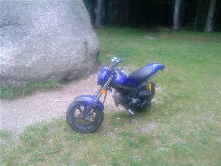 Suzuki Street Magic billede 8