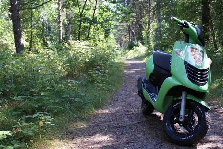 Aprilia Sonic "NINJA" AC *SOLGT* billede 9