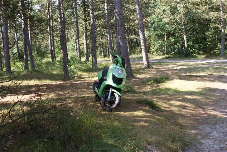 Aprilia Sonic "NINJA" AC *SOLGT* billede 12