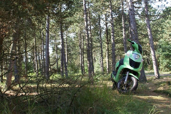 Aprilia Sonic "NINJA" AC *SOLGT* billede 13