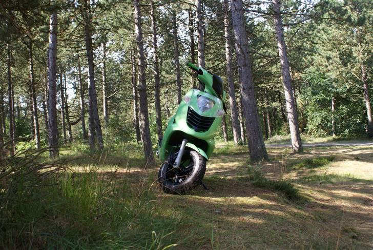 Aprilia Sonic "NINJA" AC *SOLGT* billede 14