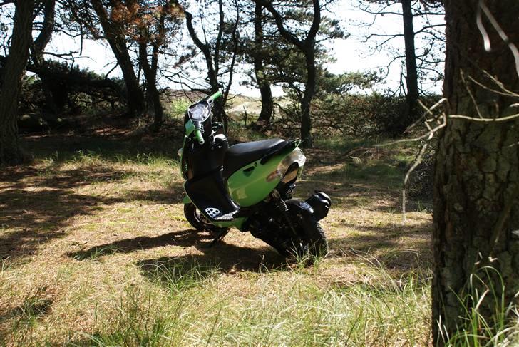 Aprilia Sonic "NINJA" AC *SOLGT* billede 17