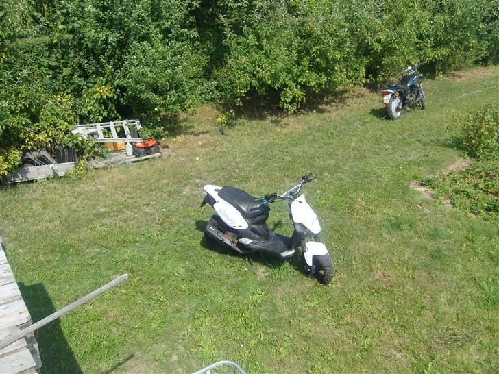 PGO PMX Naked SP "STJÅLET" billede 6