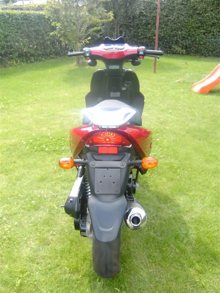 Texas chili bt49qt12 SOLGT  billede 3