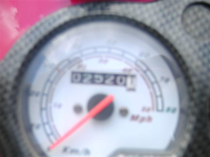 Texas chili bt49qt12 SOLGT  billede 5