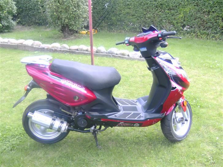 Texas chili bt49qt12 SOLGT  billede 6