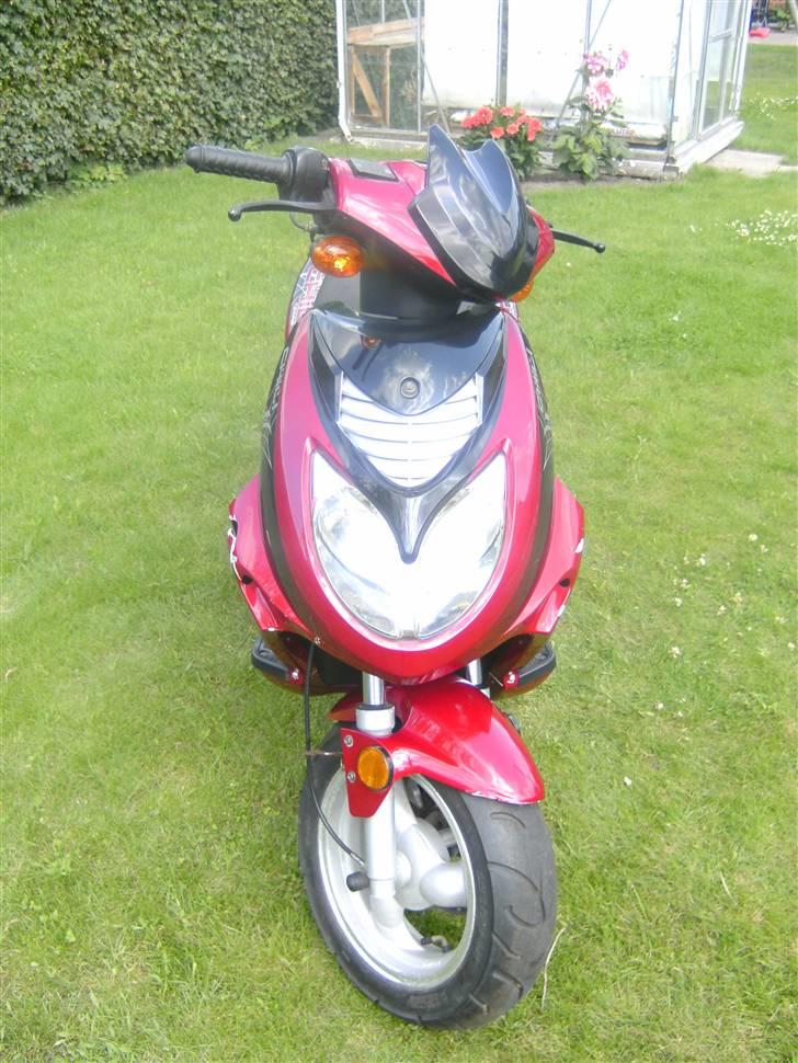 Texas chili bt49qt12 SOLGT  billede 7