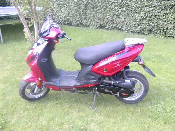 Texas chili bt49qt12 SOLGT  billede 8