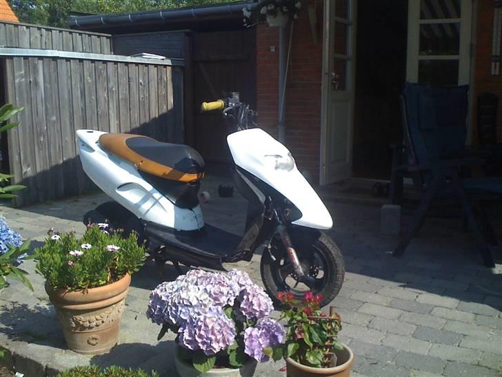 Honda Sfx [BYTTET MED YAMAHA] billede 6