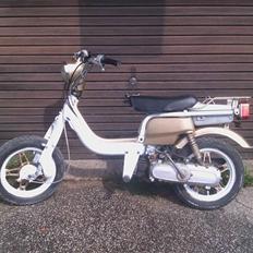 Suzuki FZ50 [ SVINET] [BYTTET]