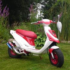 PGO Hot 50