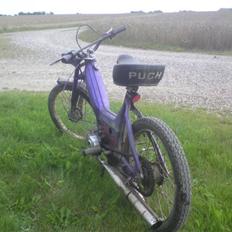 Puch maxi (projekt)