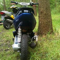 Aprilia sonic LC TS "solgt"