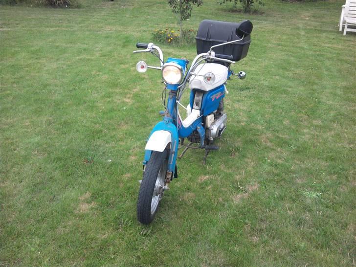 Suzuki Fz 50 billede 8