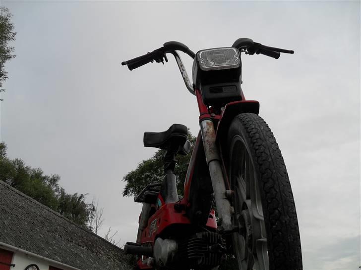 Puch maxi P1 (Byttet med k50) billede 2