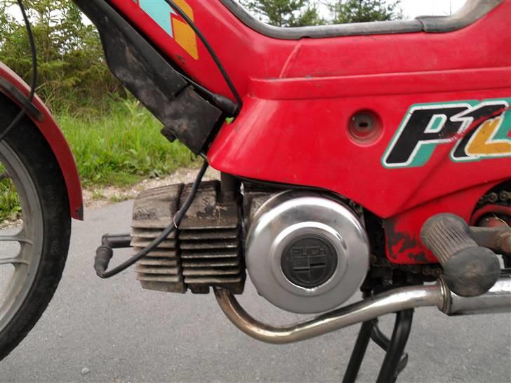 Puch maxi P1 (Byttet med k50) billede 4