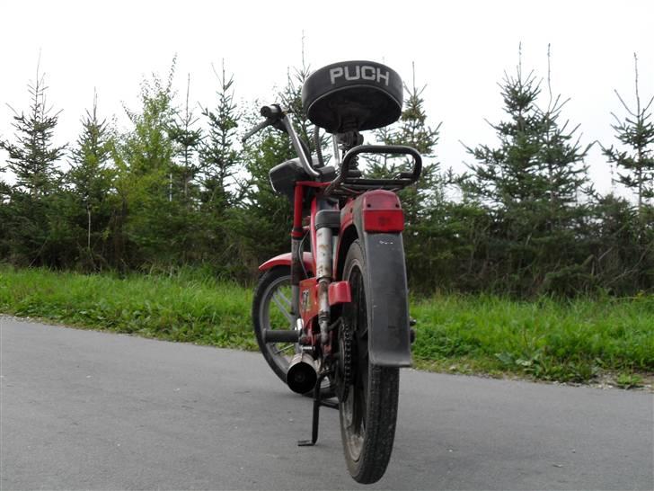 Puch maxi P1 (Byttet med k50) billede 5