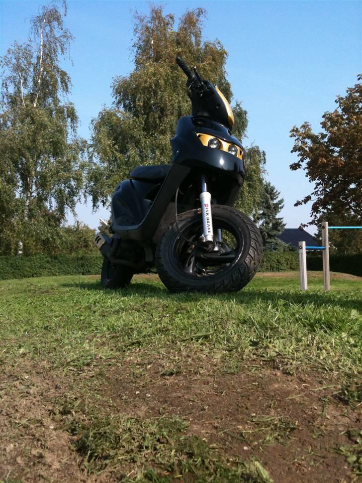 CPI Popcorn >NINJA< - Vilddyret i al sin pragt... vil nok sige den gik fra ådsel til katterøv i måneskin HeHe billede 2