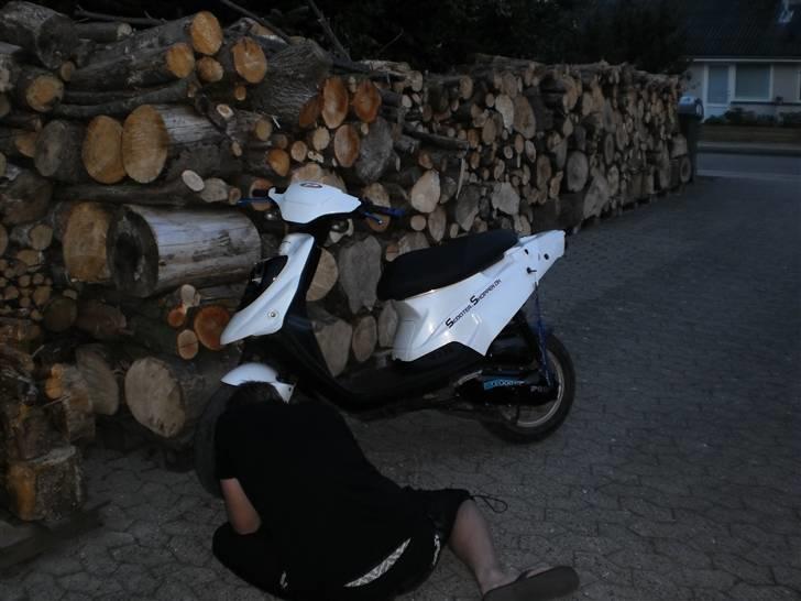 PGO hot 50 - Nyt, helt rengjort scooter, dejlig køretøj! billede 10