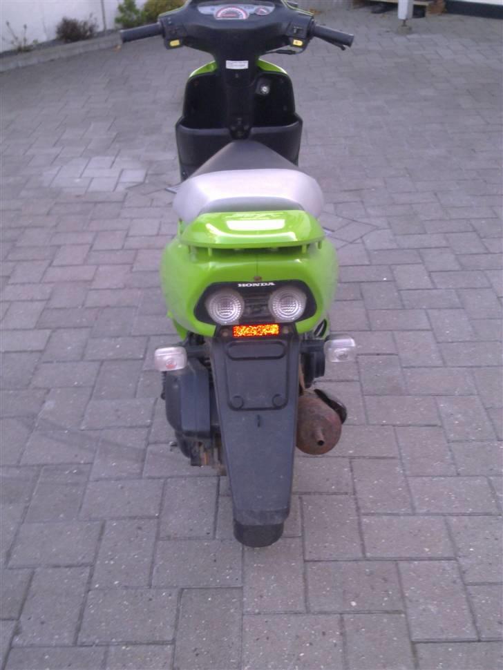 Honda SFX billede 3