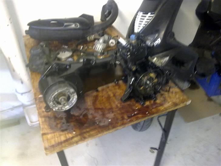 Peugeot Speedfight billede 15