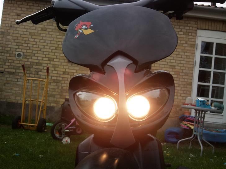 Honda wallaroo*SOLGT* billede 2