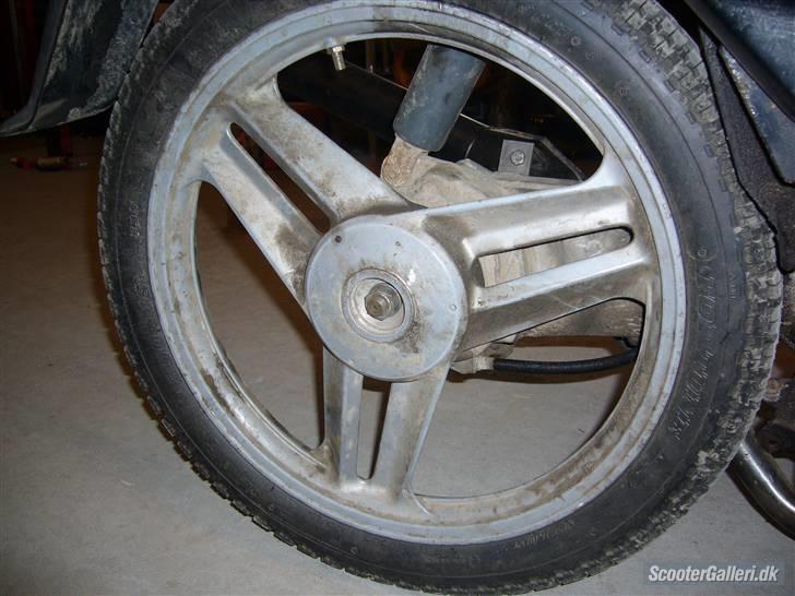 Honda wallaroo*SOLGT* billede 5