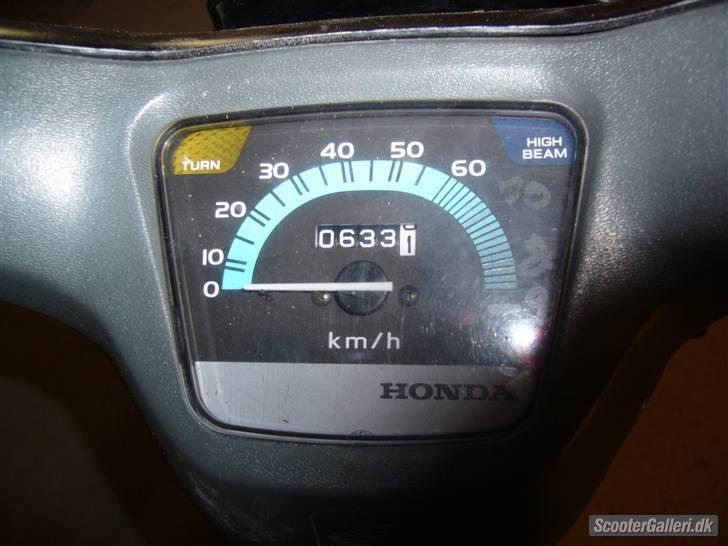 Honda wallaroo*SOLGT* billede 6