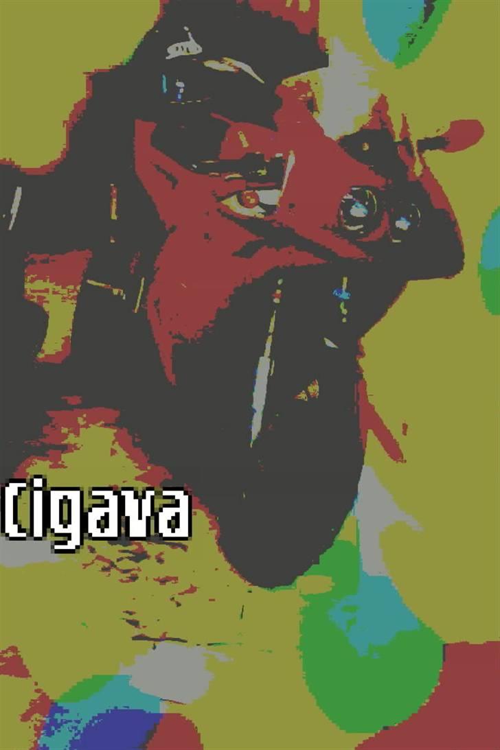 Cagiva mito 50 byttet til hot 50 billede 1