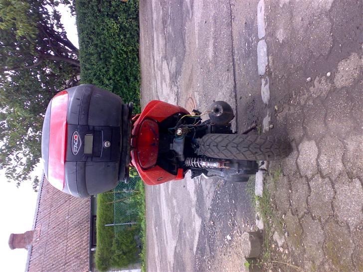 Peugeot speedfight 2 206 WRC LC   billede 3