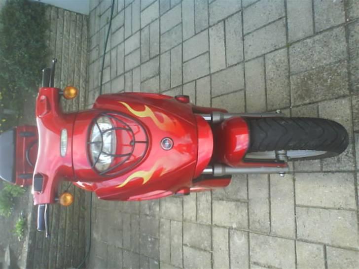 Baotian BT49QT-7 (X-Factor) *Død* - Sådan ser den ud idag d. 15/08 - 2010 billede 13