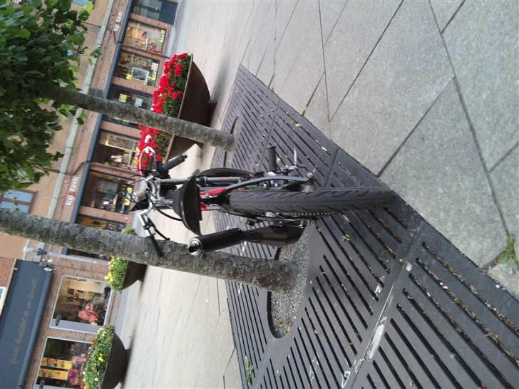 Puch Maxi "MK" k  [Tidl.Scooter] billede 6