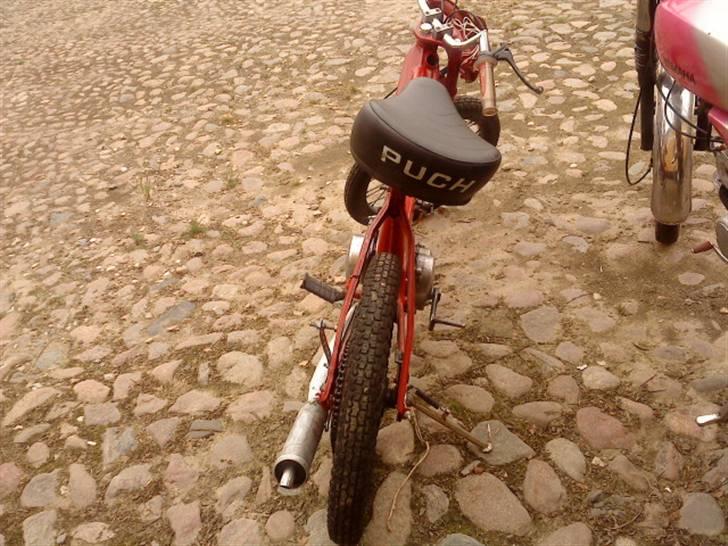 Puch maxi til salg billede 4