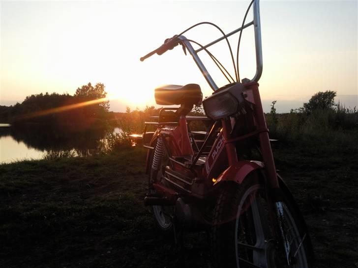 Puch maxi  KL. **SOLGT** billede 9
