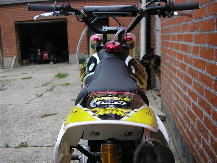 Zoot SMR-B solgt billede 12