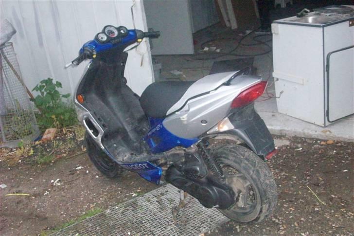 PGO picathu (SOLGT) billede 2