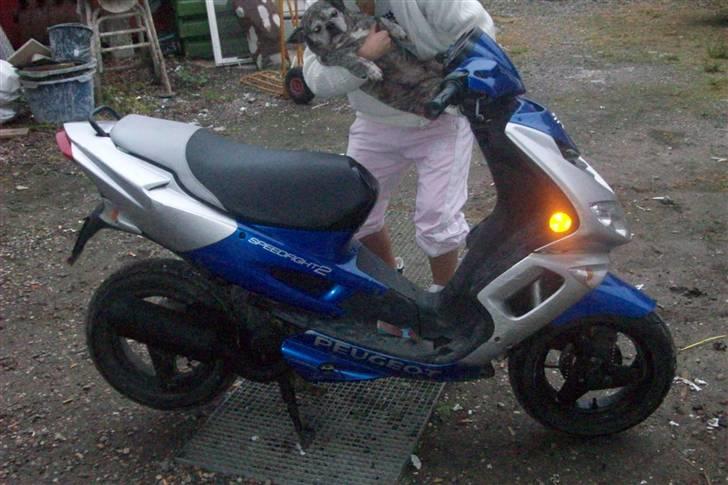 PGO picathu (SOLGT) billede 3