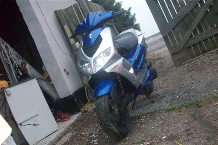 PGO picathu (SOLGT) billede 4