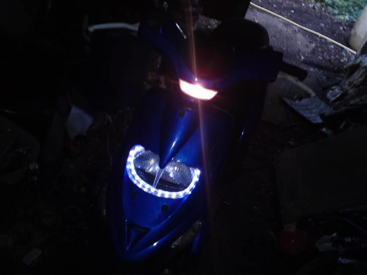 Gilera stalker byttet billede 1