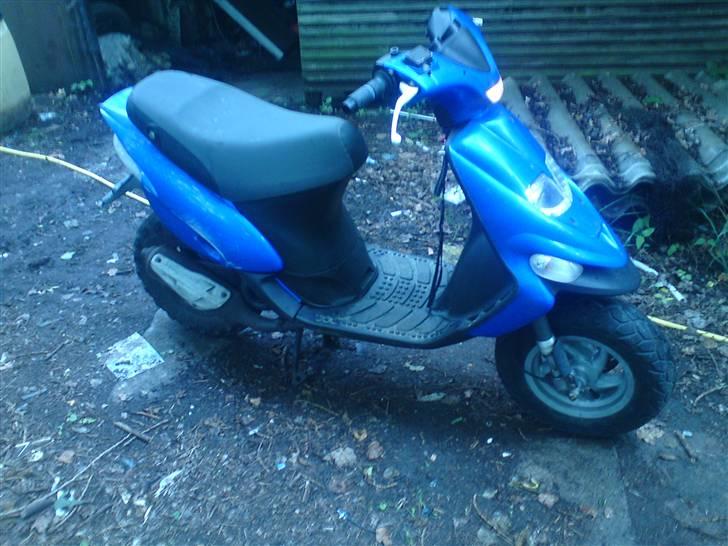 Gilera stalker byttet billede 3