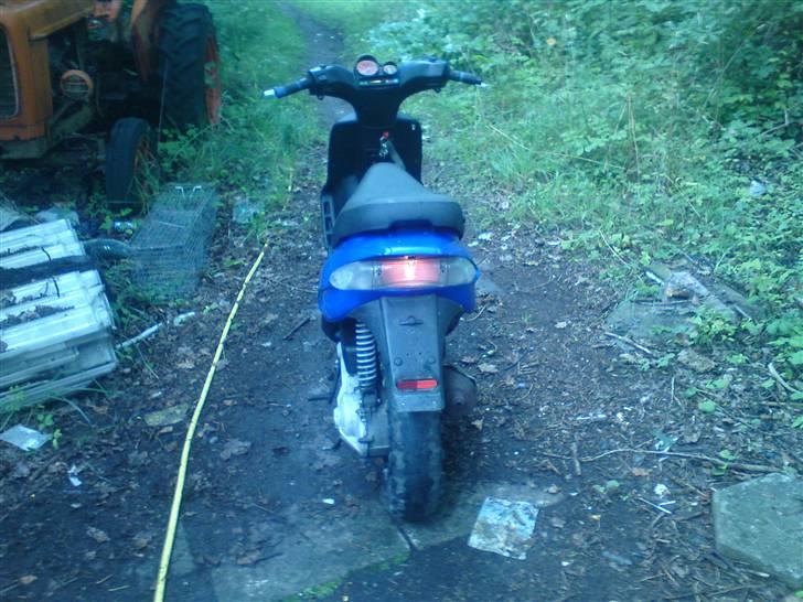 Gilera stalker byttet billede 4