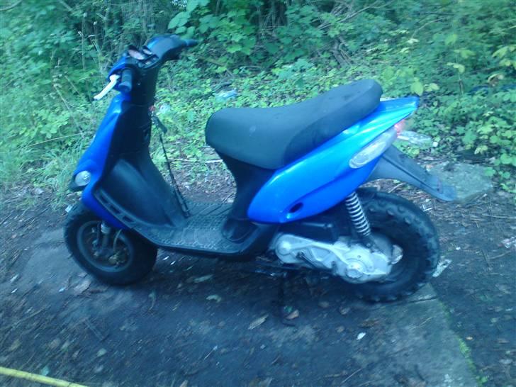 Gilera stalker byttet billede 5