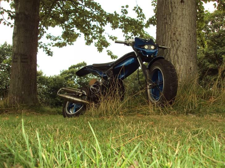 Suzuki Street Magic "BYTTET" billede 3