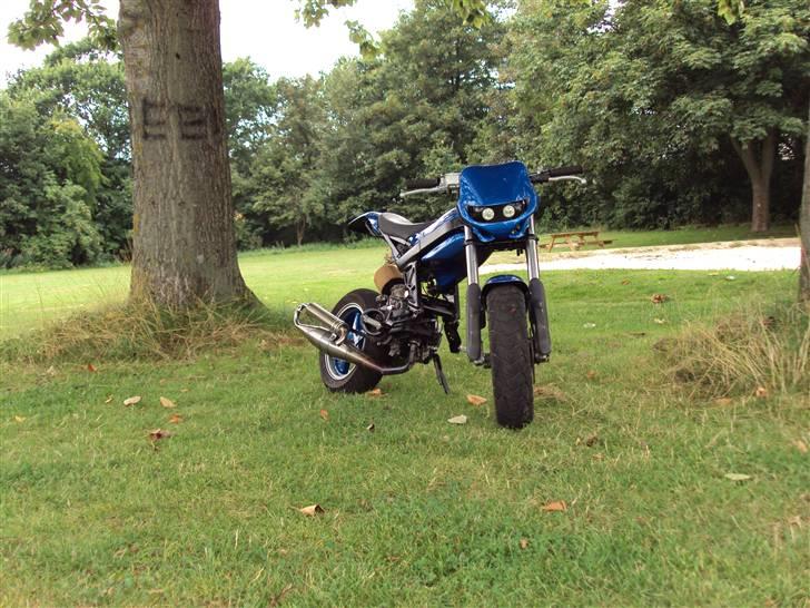 Suzuki Street Magic "BYTTET" billede 7