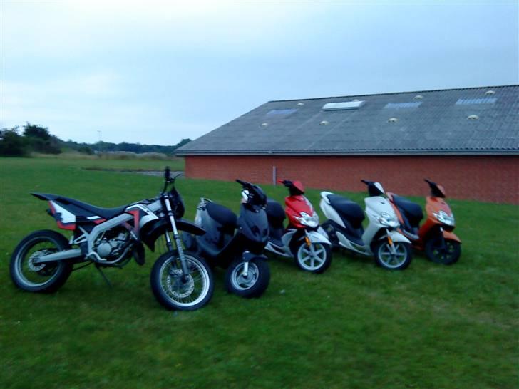 PGO hot 50 SOLGT - rold, jeg, flak, færch og dejligbjerg. on tour billede 10