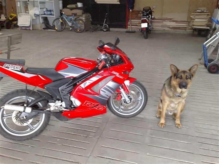 Rieju matrix solgt!! billede 2