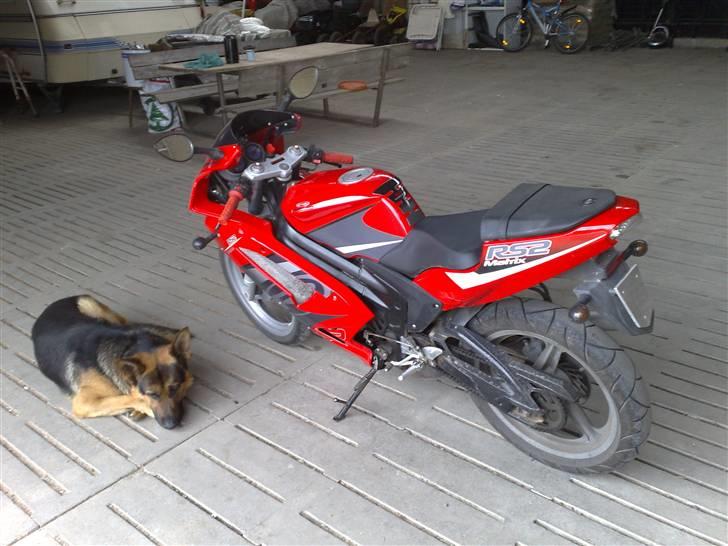 Rieju matrix solgt!! billede 8