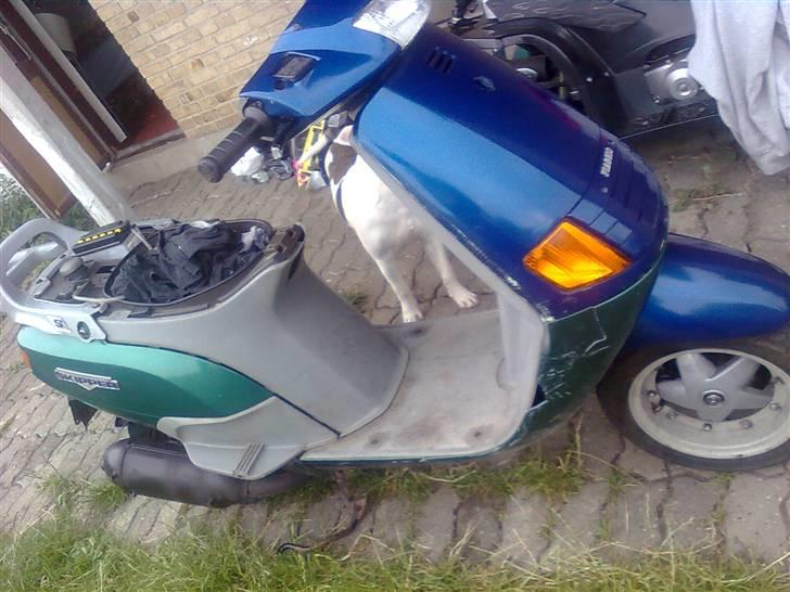 Piaggio Skipper 150 CCM - - Sådan så den ud dengang jeg købte den (; billede 10