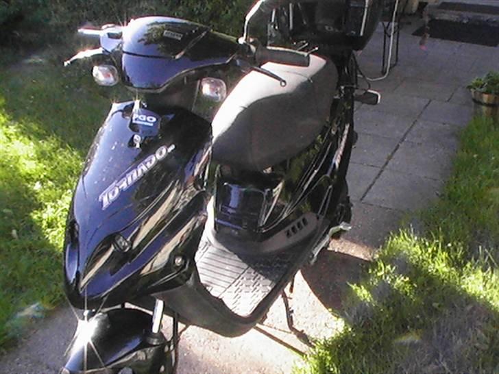 PGO Tornado billede 4